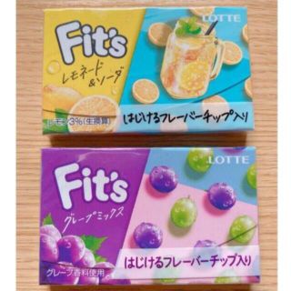 フィッツ 〈グレープミックス〉〈レモネード＆ソーダ〉2個セット(菓子/デザート)