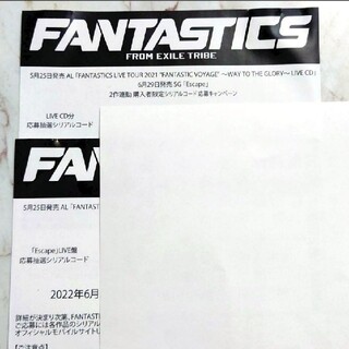 FANTASTICS 応募キャンペーンシリアルコード用紙２枚セット(アイドルグッズ)