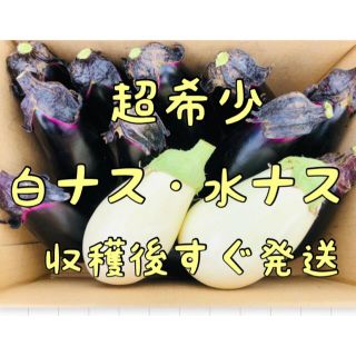 野菜詰め合わせ　白ナス　水なす　なす　長なす　80サイズ(野菜)