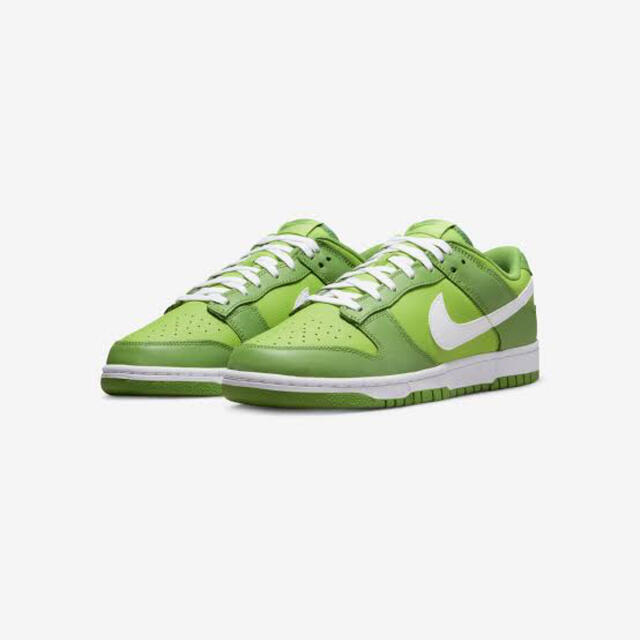 新品　NIKE Dunk Low Retro DJ6188-300 28.0cm