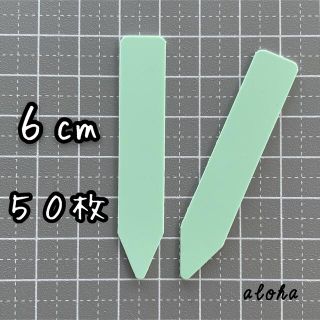ミント　ガーデニング 多肉植物に◎ 園芸用 ラベル ネームラベル 50枚(その他)