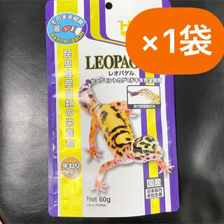 ×1袋　キョーリン レオパゲル 60g(爬虫類/両生類用品)