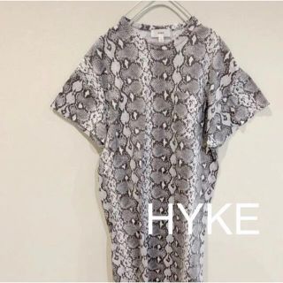 ハイク(HYKE)のHYKE ハイク　パイソンポケT(Tシャツ(半袖/袖なし))