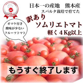 受賞歴３回❗️訳ありソムリエトマト4.5〜5.5kg（16～32玉) ③のオマケ(野菜)