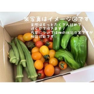 無農薬！新鮮夏野菜詰め合わせ⭐︎(野菜)