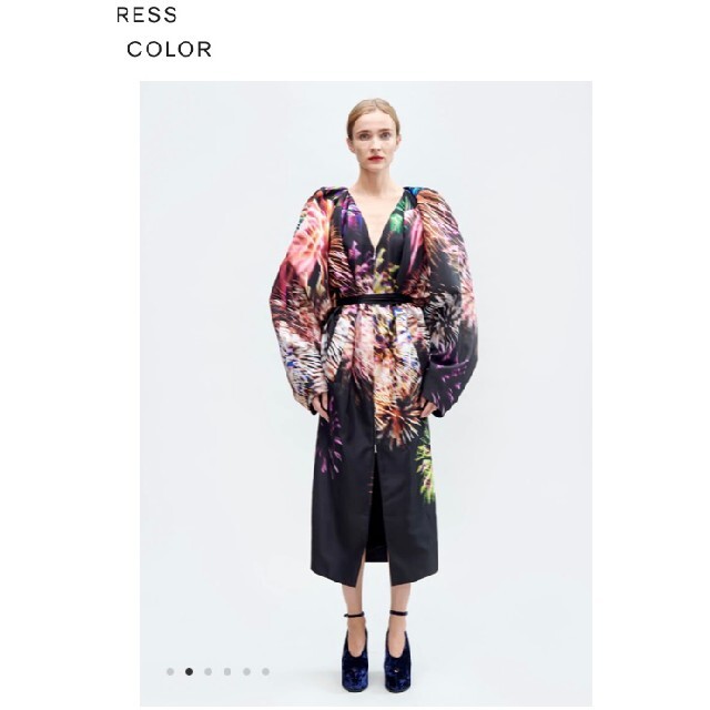 DRIES VAN NOTEN(ドリスヴァンノッテン)の【新品、未使用】ドリスヴァンノッテンの花柄プリントコート レディースのジャケット/アウター(ロングコート)の商品写真