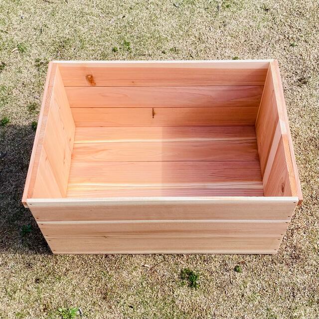 新品 りんご箱 幅450 1箱 / 木箱 ウッドボックス 収納 什器 ラック