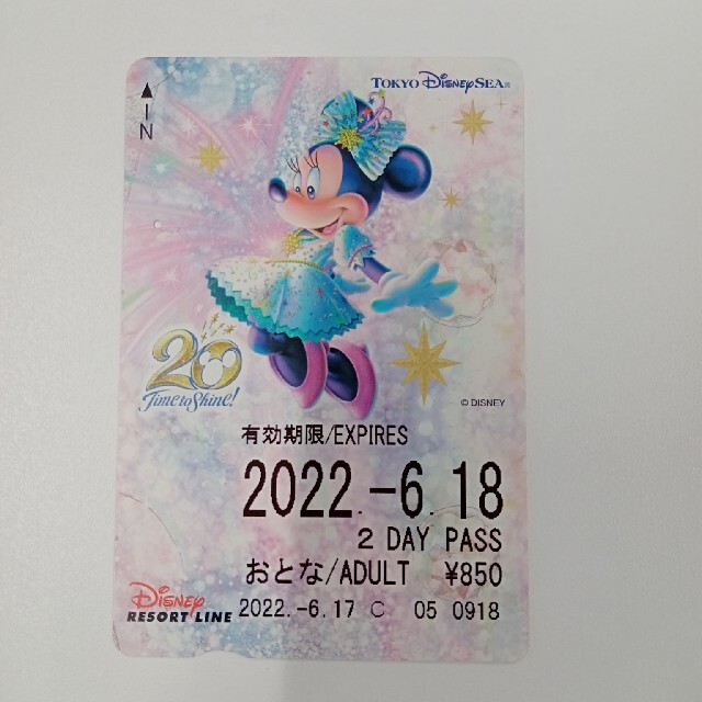 リゾートライン　20周年　ミニー チケットの乗車券/交通券(鉄道乗車券)の商品写真