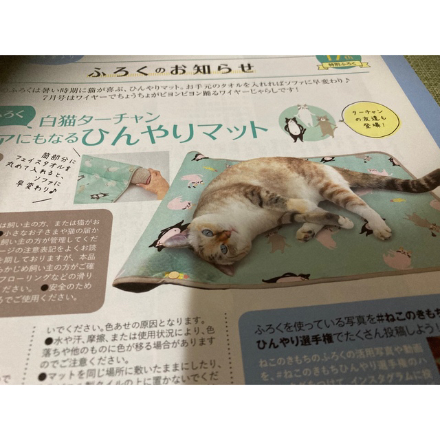 しろねこさま専用