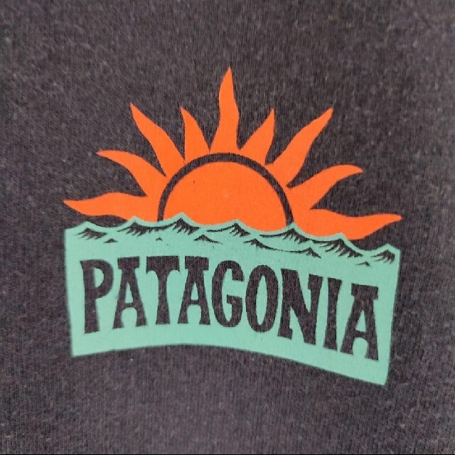 patagonia(パタゴニア)のボクチン様専用 パタゴニアワンポイントロゴ バックビックプリント古着 メンズのトップス(Tシャツ/カットソー(半袖/袖なし))の商品写真