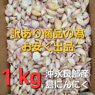 訳あり　沖永良部産　島にんにく(野菜)