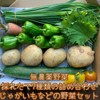 無農薬野菜＊採れたて7種類の詰め合わせ＊じゃがいもなどの野菜セット＊コンパクト＊(野菜)