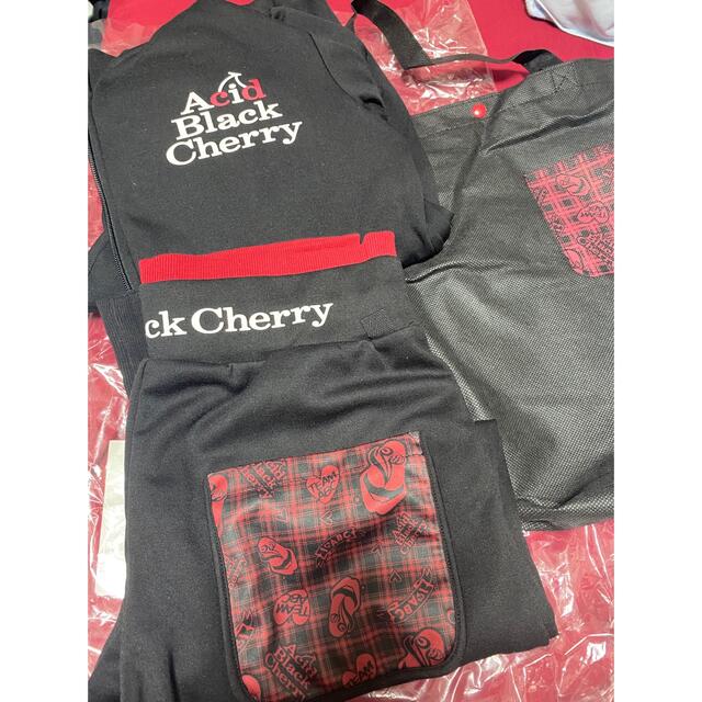 Acid Black Cherry　セットアップ　レディース