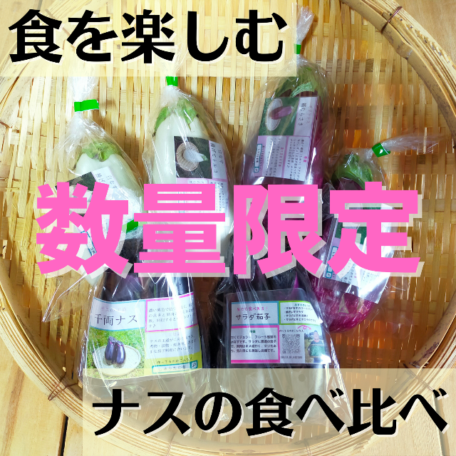 珍しい！体験商品「４種のナス食べ比べセット」美味しさにビックリ！ 食品/飲料/酒の食品(野菜)の商品写真