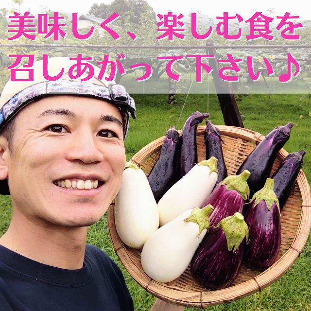 珍しい！体験商品「４種のナス食べ比べセット」美味しさにビックリ！ 食品/飲料/酒の食品(野菜)の商品写真