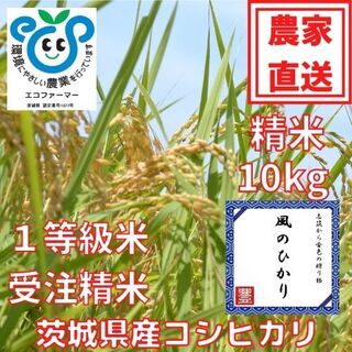 【お中元・夏ギフト】茨城県産コシヒカリ風のひかり10kg(米/穀物)
