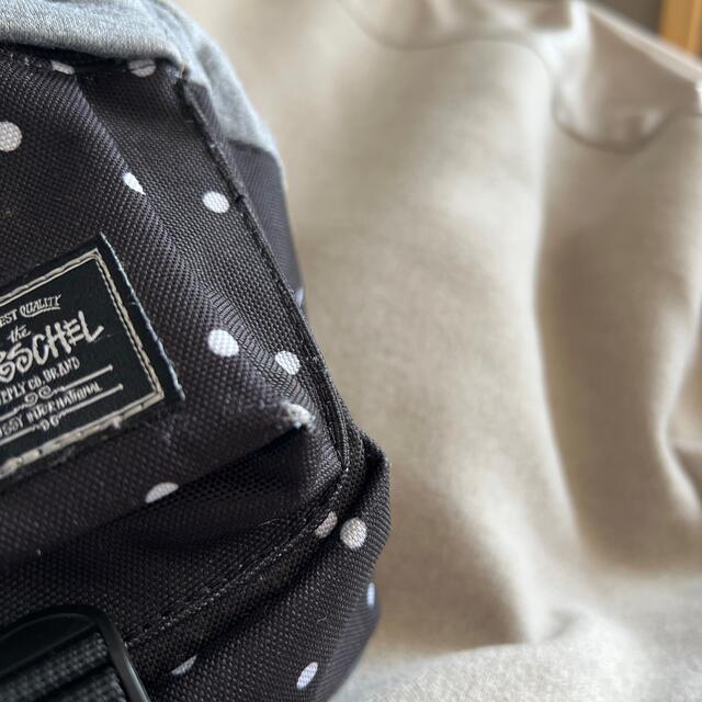 STUSSY(ステューシー)のSTUSSY×HERSCHEL/コラボ ショルダーバッグ　サコッシュ　ポシェット レディースのバッグ(ボディバッグ/ウエストポーチ)の商品写真