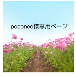 多肉植物☆葉挿しセット☆⑩❤おらいさん青札品種2種類入り❤計20種類(その他)