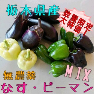 栃木県産　無農薬　なす・ピーマンMIX(野菜)
