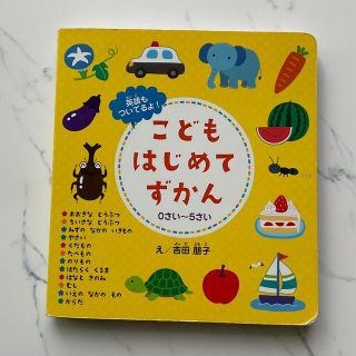 こどもはじめてずかん(絵本/児童書)