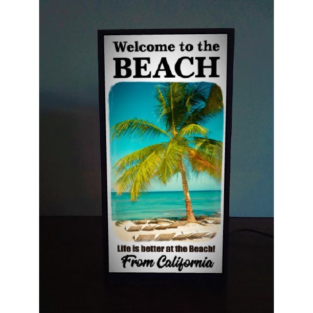 カリフォルニア パームビーチ 写真 フォト 看板 置物 雑貨 LEDライトBOX