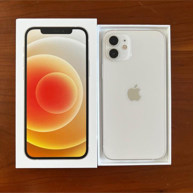 nanoSIM色（期間限定）iPhone12  128gb simフリー　 本体　Apple