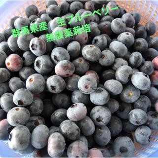 風香様⭐︎朝採り 群馬県産 生ブルーベリー　1キロ(フルーツ)