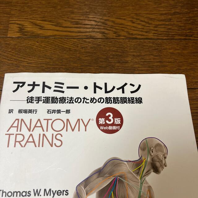 アナトミ－・トレイン 徒手運動療法のための筋筋膜経線 第３版の通販 ...