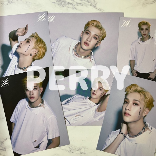 Stray Kids Scars ソリクン ラントレ 50種類 コンプリート