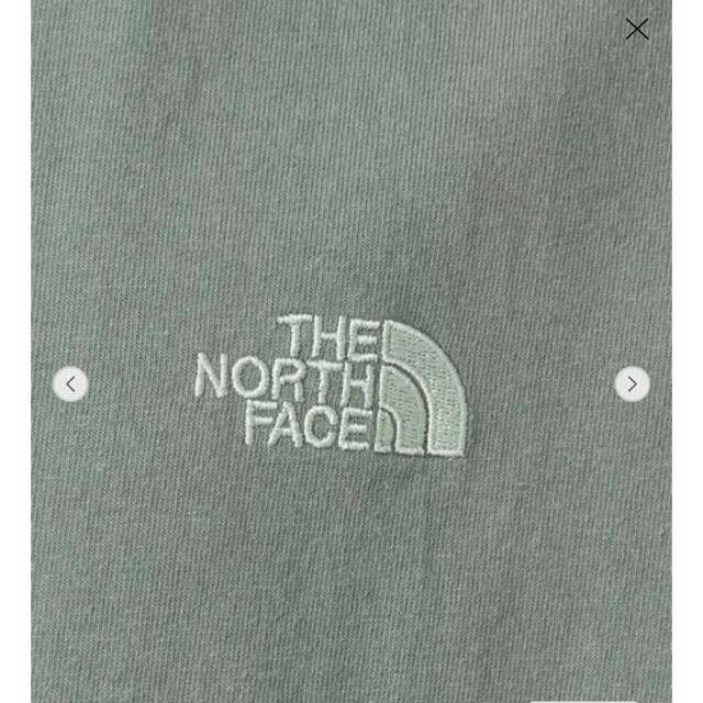THE NORTH FACE(ザノースフェイス)の新品タグ付【別注】ノースフェイス パープルレーベル　プリント 刺繍 Tシャツ メンズのトップス(Tシャツ/カットソー(半袖/袖なし))の商品写真