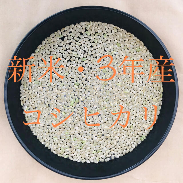 お米セール！3年産『特別栽培米・丹後産コシヒカリ』送料無料、精米サービスします。　米/穀物