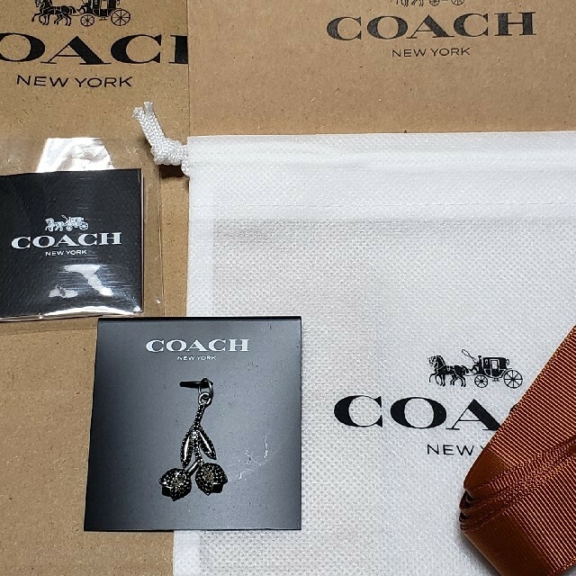 COACH(コーチ)の新品・未使用　コーチ　ジェット ダブル フラワー チャーム  ブラック  マルチ レディースのアクセサリー(チャーム)の商品写真