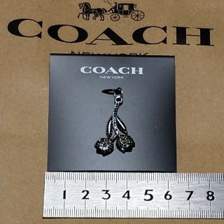 コーチ(COACH)の新品・未使用　コーチ　ジェット ダブル フラワー チャーム  ブラック  マルチ(チャーム)