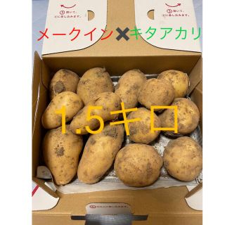 【お試し価格】新じゃが　約1.5キロ(野菜)