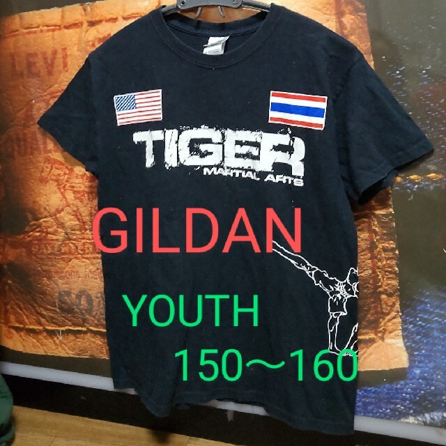 GILDAN(ギルタン)のGILDAN/150～160 武道学校 Tシャツ キッズ/ベビー/マタニティのキッズ服男の子用(90cm~)(Tシャツ/カットソー)の商品写真