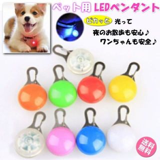 犬 散歩 ライト 首輪 LED 光る首輪 犬用 レインボー 猫 防水 小型犬 ひ(犬)