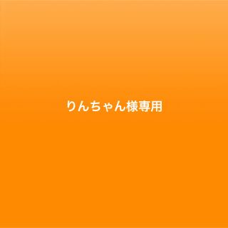 ユニバーサルスタジオジャパン(USJ)の専用です。(その他)