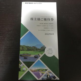 東急不動産ホールディングス株主様ご優待券1,000株分(その他)
