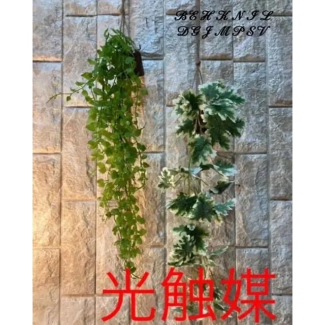光触媒　人工観葉植物　ウォールグリーン　フェイク　ゼラニュームとエンジェルリーフ インテリア/住まい/日用品のインテリア小物(壁掛けミラー)の商品写真