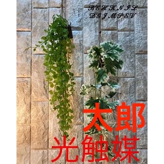 光触媒　人工観葉植物　ウォールグリーン　フェイク　ゼラニュームとエンジェルリーフ(壁掛けミラー)