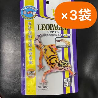 ×3袋　キョーリン レオパゲル 60g(爬虫類/両生類用品)
