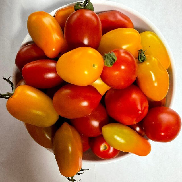 1.3キロ ミニトマト 20種類以上のカラフルバラエティーミックスほぼ無農薬栽培 食品/飲料/酒の食品(野菜)の商品写真