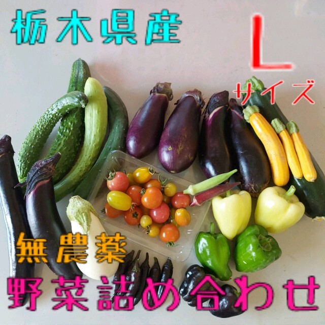 野菜おまかせ詰め合わせBOX【L】 食品/飲料/酒の食品(野菜)の商品写真