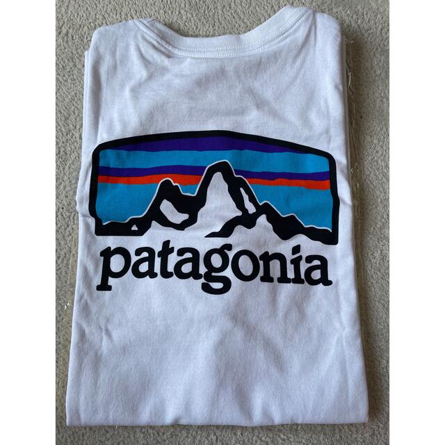 patagonia(パタゴニア)のパタゴニア メンズのトップス(Tシャツ/カットソー(半袖/袖なし))の商品写真