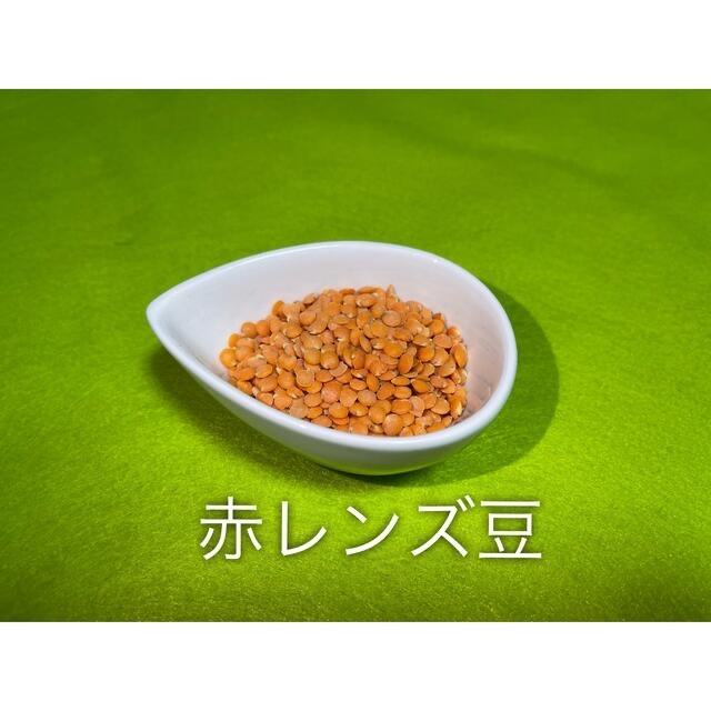 イエロームングダール900g赤レンズ豆900g 食品/飲料/酒の加工食品(豆腐/豆製品)の商品写真