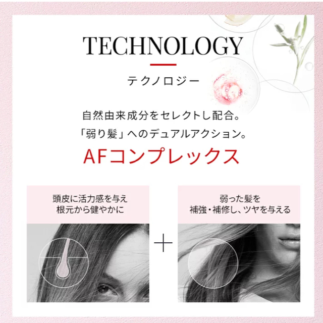 KERASTASE(ケラスターゼ)のケラスターゼ　GN バン　NF 250ml コスメ/美容のヘアケア/スタイリング(シャンプー)の商品写真