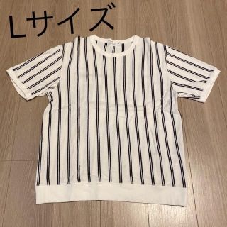 ユナイテッドアローズグリーンレーベルリラクシング(UNITED ARROWS green label relaxing)のストライプ　メンズ　L(Tシャツ/カットソー(半袖/袖なし))