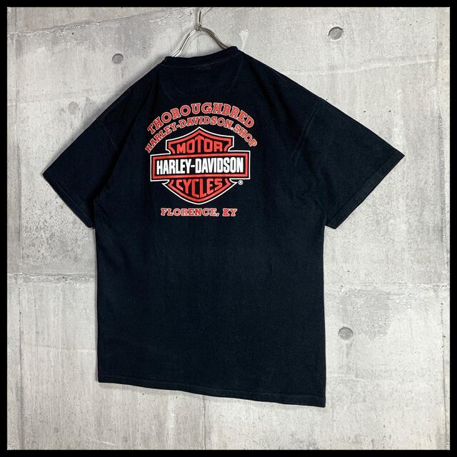 Harley Davidson(ハーレーダビッドソン)の【希少デザイン】 美品 ハーレーダビッドソン Tシャツ 黒 ブラック ビッグロゴ メンズのトップス(Tシャツ/カットソー(半袖/袖なし))の商品写真