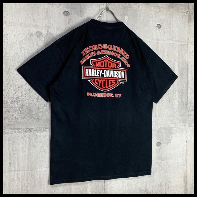 Harley Davidson(ハーレーダビッドソン)の【希少デザイン】 美品 ハーレーダビッドソン Tシャツ 黒 ブラック ビッグロゴ メンズのトップス(Tシャツ/カットソー(半袖/袖なし))の商品写真