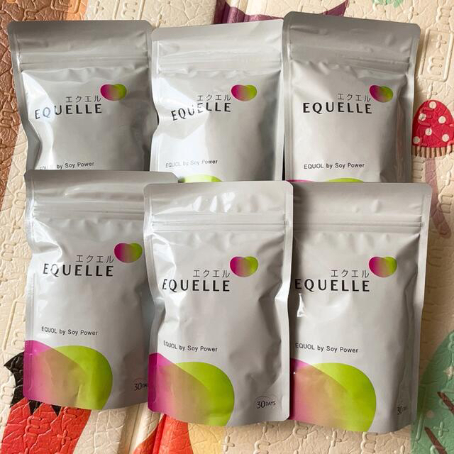 エクエル EQUELLE 120粒 パウチ 6個 | www.newdelta.eu